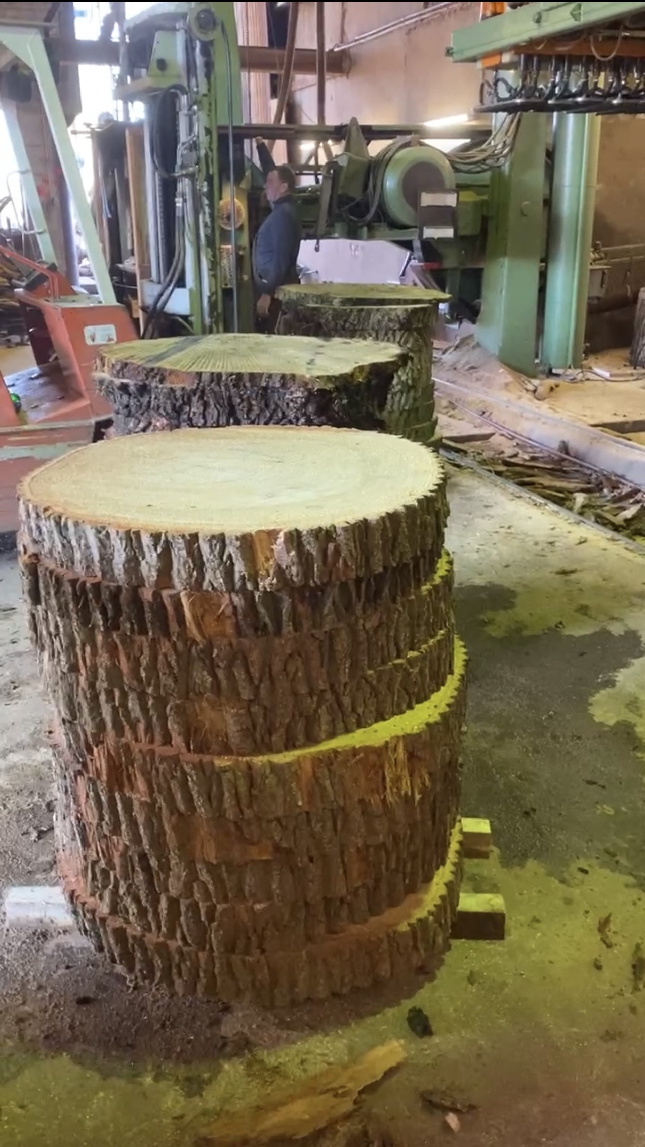 Sägewerk.