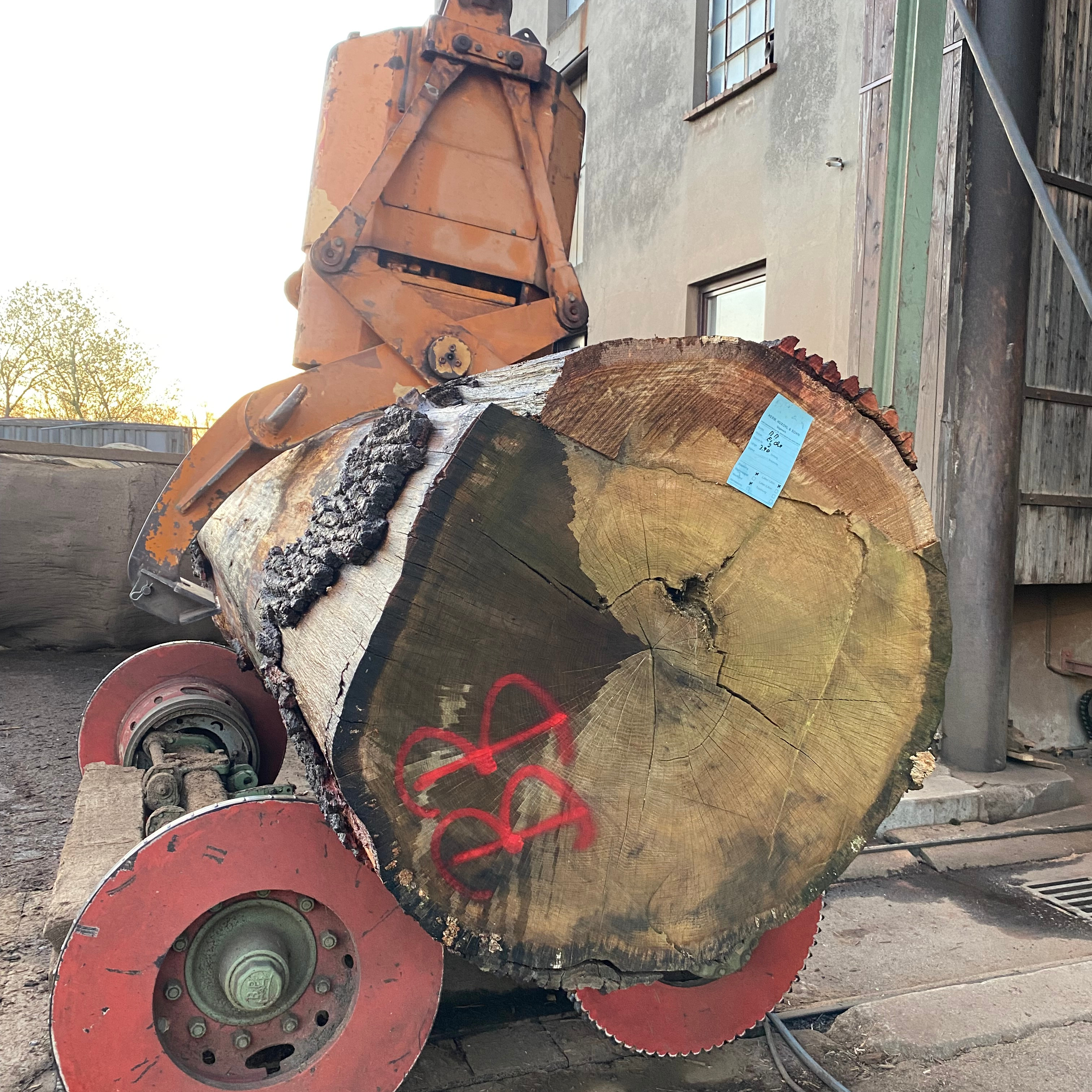 Sägewerk.