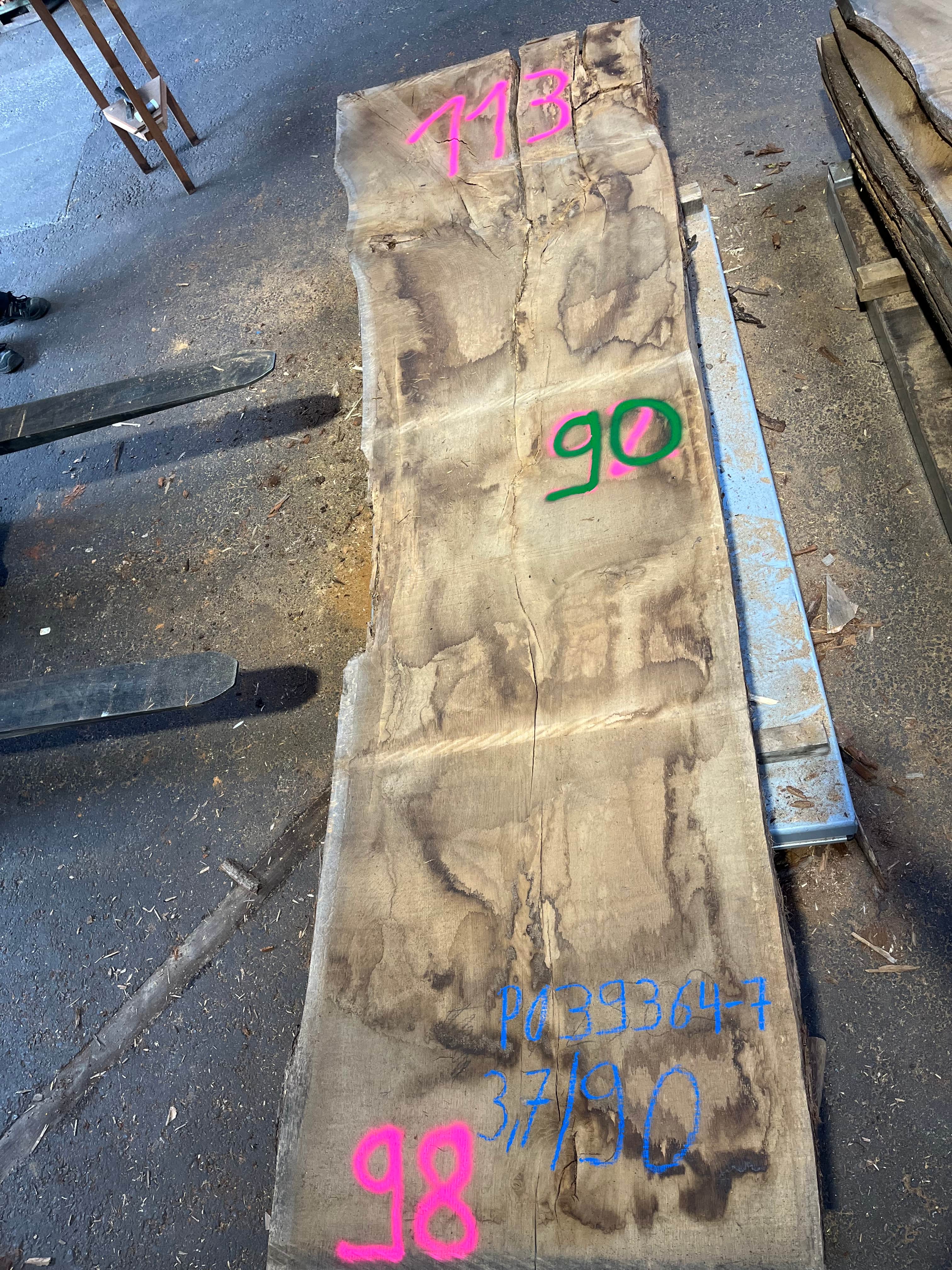 Eiche-Rohbohle 039364-1 in vollständiger Draufsicht