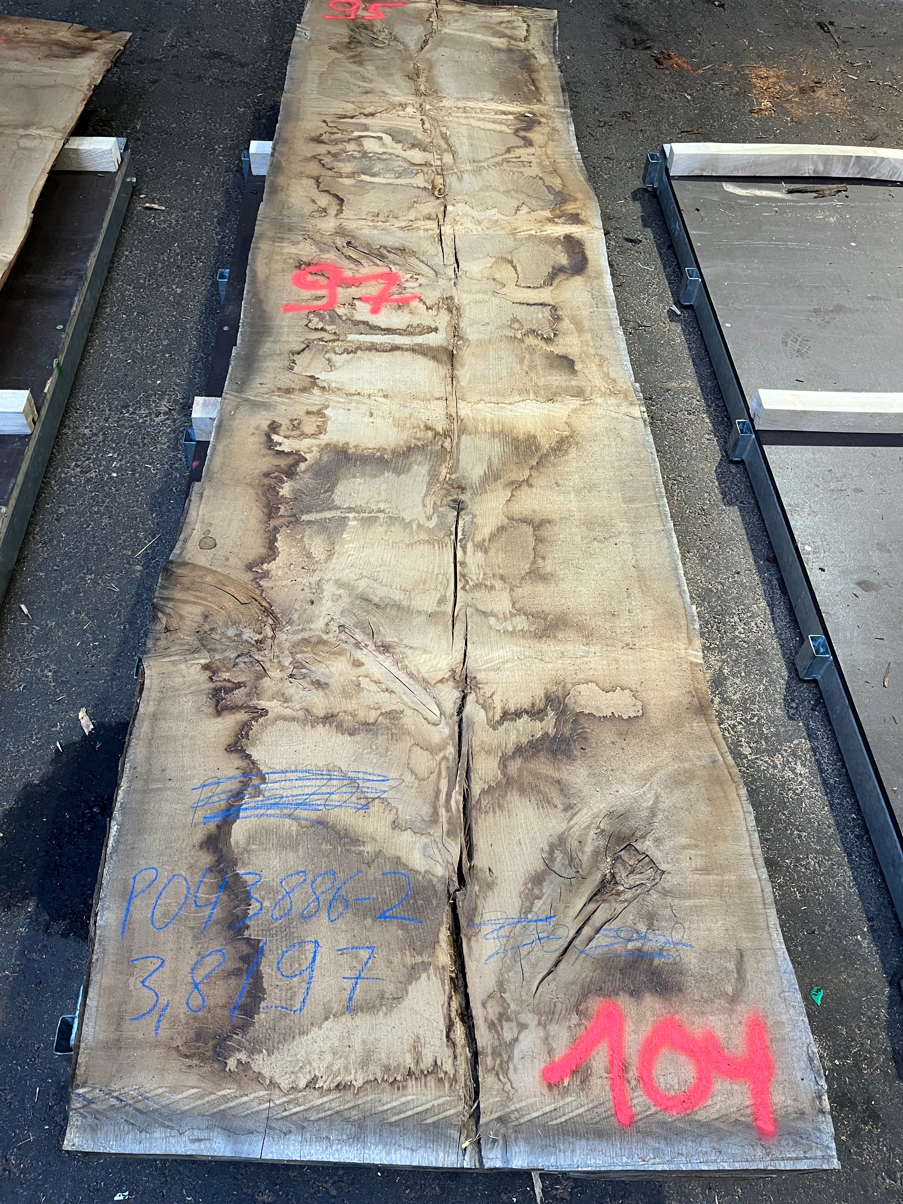 Eiche-Rohbohle 043886-2 in vollständiger Draufsicht