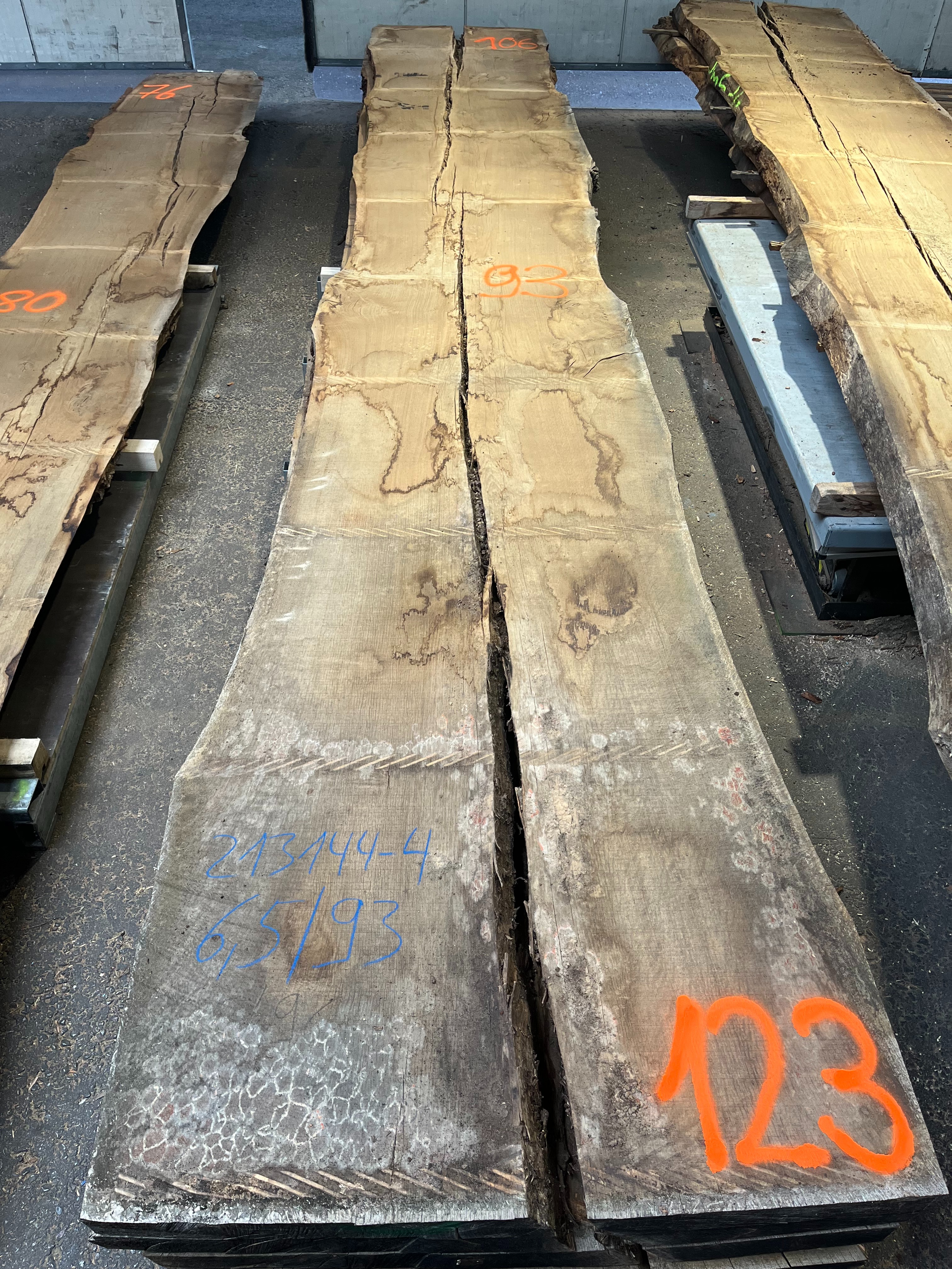 Eiche-Rohbohle 213144-4 in vollständiger Draufsicht