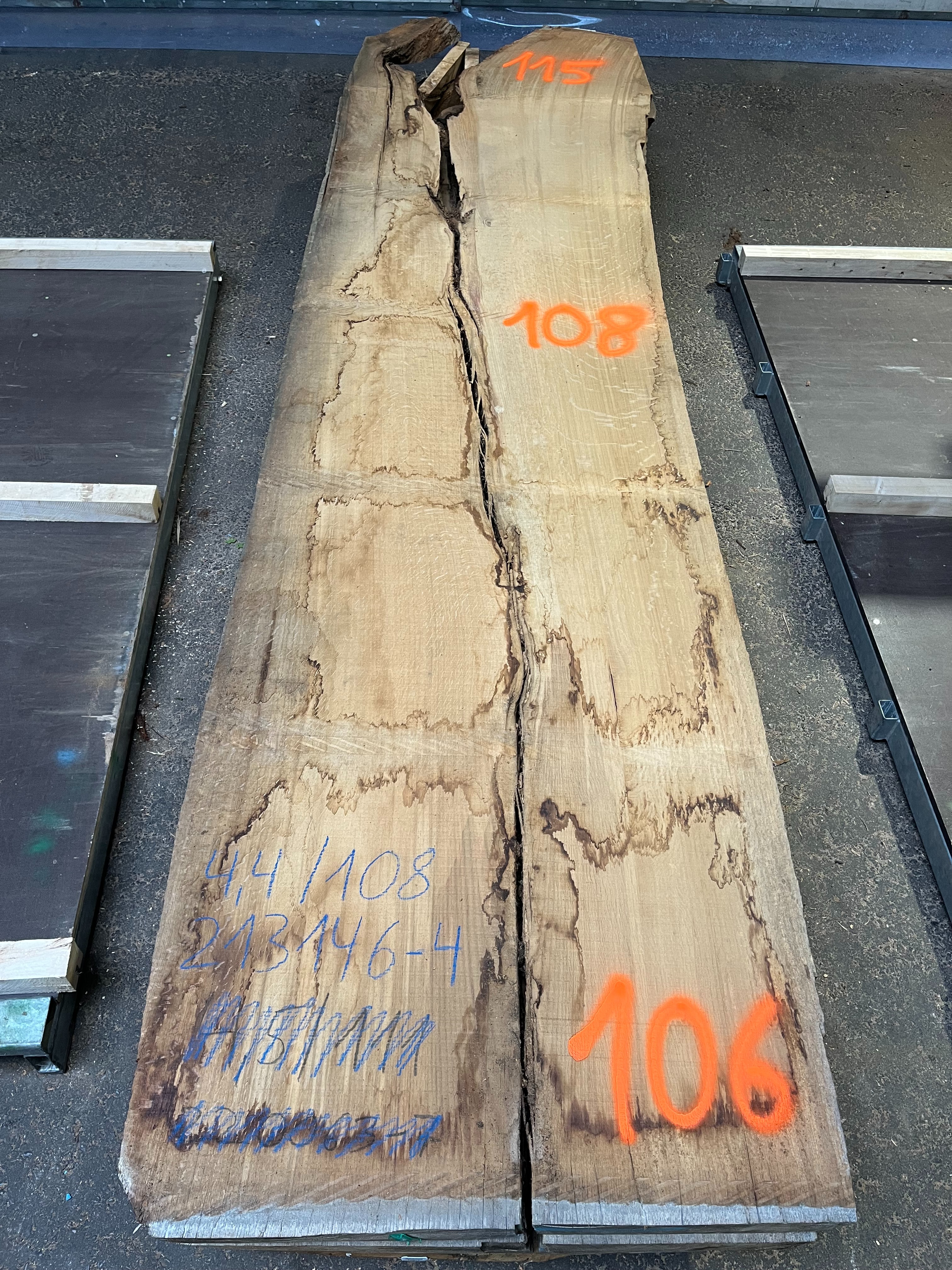 Eiche-Rohbohle 213146-4 in vollständiger Draufsicht
