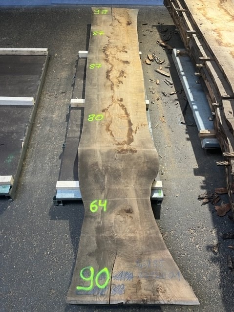 Esche-Rohbohle 10 in vollständiger Draufsicht