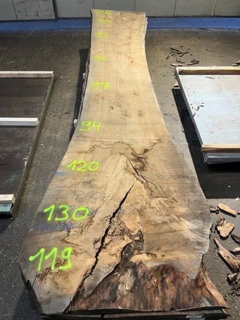 Esche-Rohbohle 60 in vollständiger Draufsicht