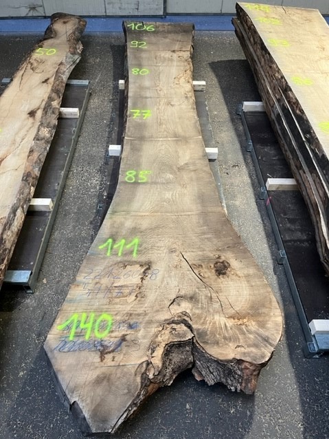 Esche-Rohbohle 70 in vollständiger Draufsicht