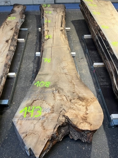 Esche-Rohbohle 80 in vollständiger Draufsicht